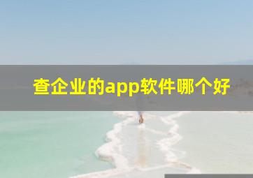 查企业的app软件哪个好