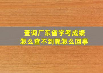 查询广东省学考成绩怎么查不到呢怎么回事