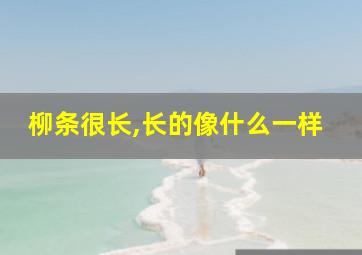 柳条很长,长的像什么一样