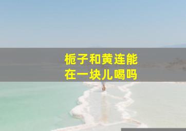 栀子和黄连能在一块儿喝吗