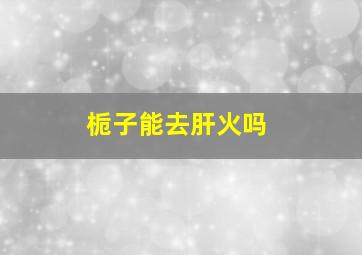 栀子能去肝火吗