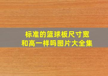 标准的篮球板尺寸宽和高一样吗图片大全集