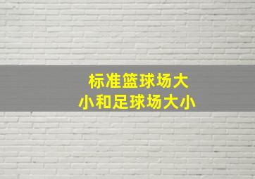 标准篮球场大小和足球场大小