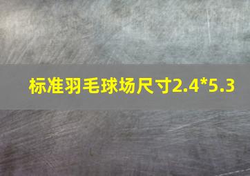 标准羽毛球场尺寸2.4*5.3