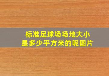 标准足球场场地大小是多少平方米的呢图片