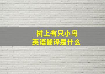 树上有只小鸟英语翻译是什么