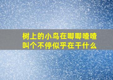 树上的小鸟在唧唧喳喳叫个不停似乎在干什么