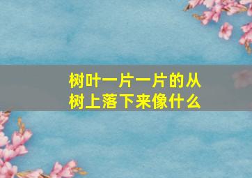 树叶一片一片的从树上落下来像什么