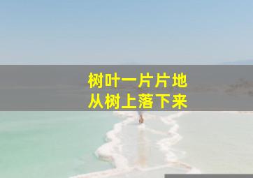 树叶一片片地从树上落下来