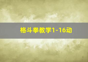 格斗拳教学1-16动