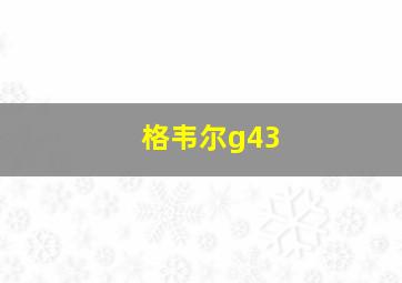 格韦尔g43