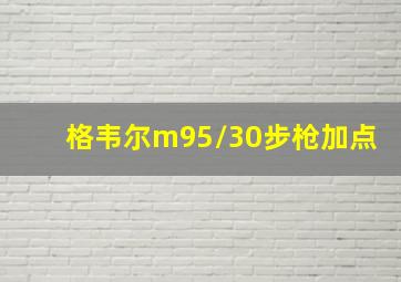 格韦尔m95/30步枪加点