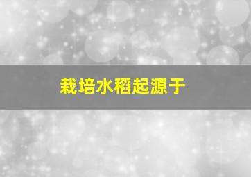 栽培水稻起源于