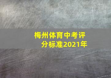 梅州体育中考评分标准2021年