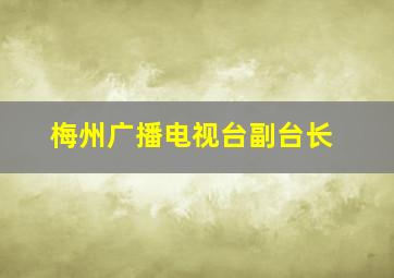 梅州广播电视台副台长