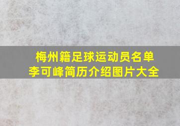 梅州籍足球运动员名单李可峰简历介绍图片大全