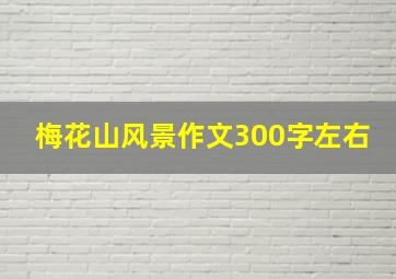 梅花山风景作文300字左右