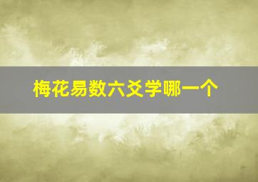 梅花易数六爻学哪一个