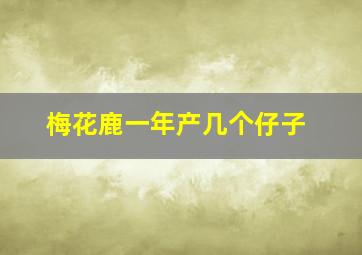 梅花鹿一年产几个仔子