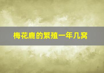 梅花鹿的繁殖一年几窝