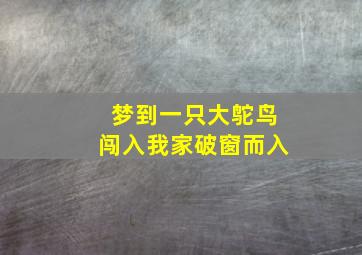 梦到一只大鸵鸟闯入我家破窗而入