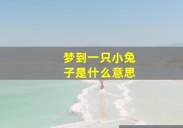 梦到一只小兔子是什么意思