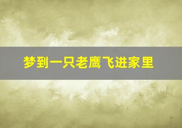 梦到一只老鹰飞进家里