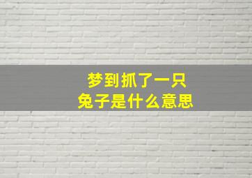 梦到抓了一只兔子是什么意思