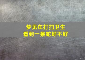 梦见在打扫卫生看到一条蛇好不好