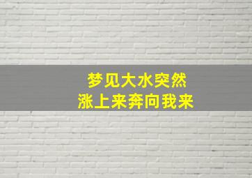 梦见大水突然涨上来奔向我来