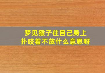 梦见猴子往自己身上扑咬着不放什么意思呀