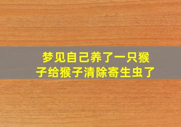 梦见自己养了一只猴子给猴子清除寄生虫了