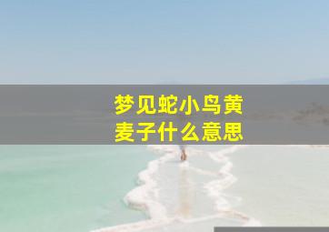 梦见蛇小鸟黄麦子什么意思