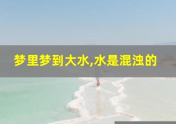 梦里梦到大水,水是混浊的