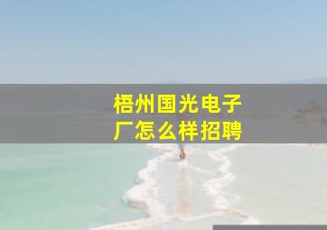 梧州国光电子厂怎么样招聘