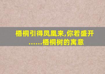 梧桐引得凤凰来,你若盛开......梧桐树的寓意