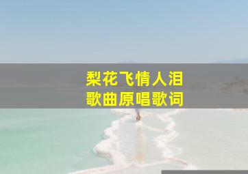 梨花飞情人泪歌曲原唱歌词