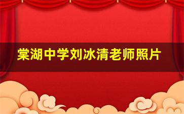 棠湖中学刘冰清老师照片