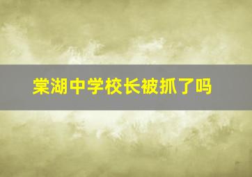 棠湖中学校长被抓了吗