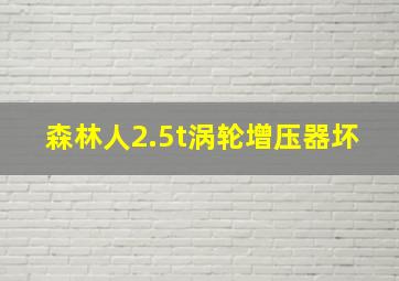 森林人2.5t涡轮增压器坏