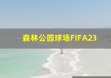 森林公园球场FIFA23