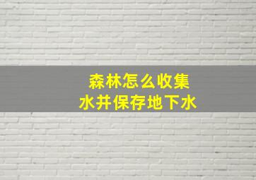 森林怎么收集水并保存地下水