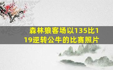 森林狼客场以135比119逆转公牛的比赛照片