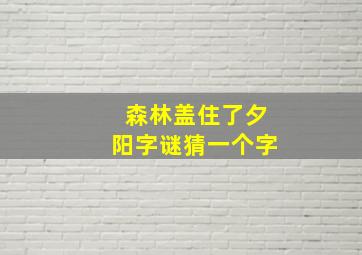 森林盖住了夕阳字谜猜一个字