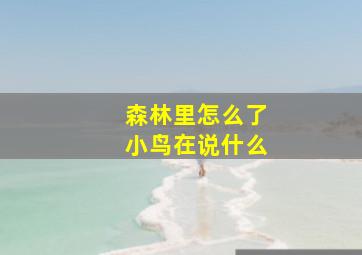 森林里怎么了小鸟在说什么