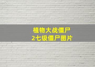 植物大战僵尸2七级僵尸图片