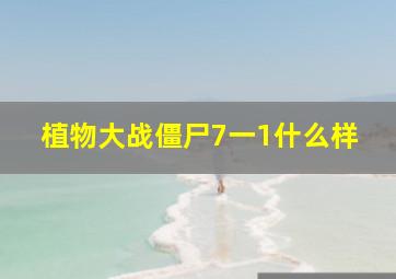 植物大战僵尸7一1什么样