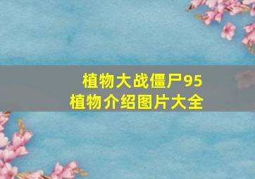 植物大战僵尸95植物介绍图片大全