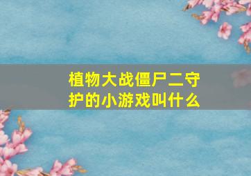 植物大战僵尸二守护的小游戏叫什么