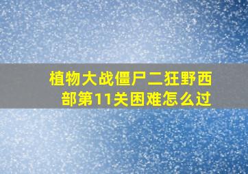 植物大战僵尸二狂野西部第11关困难怎么过